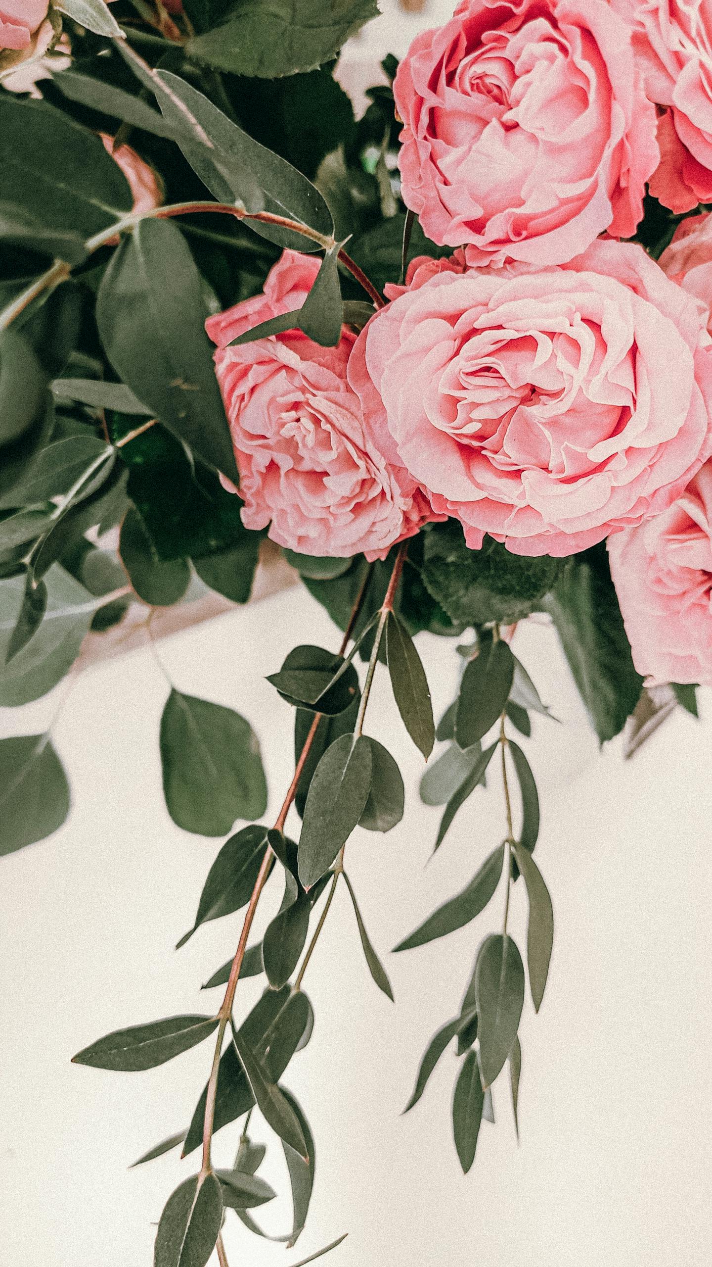 A delicate arrangement of pink roses with lush green leaves, perfect for spring decor.